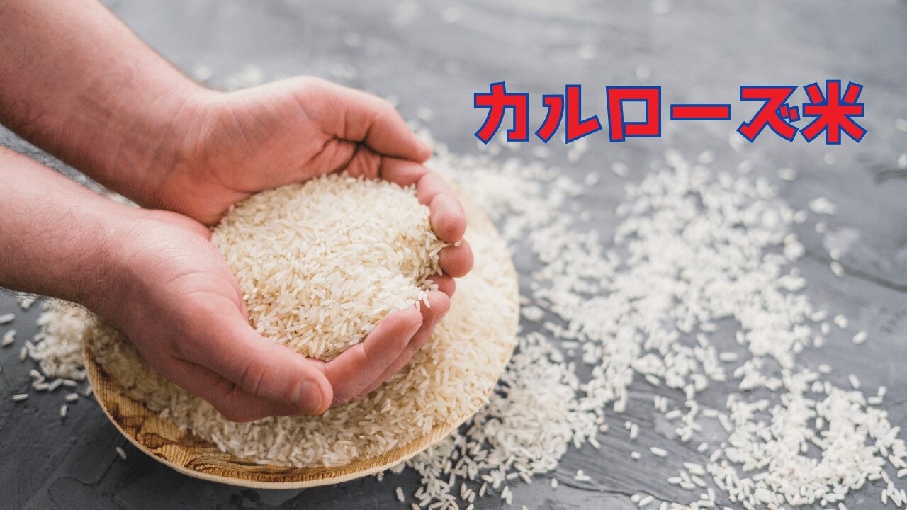 カルローズ米とプラスチック米が混同される理由と真実とは